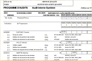 Rogaudit Rapport d'audit