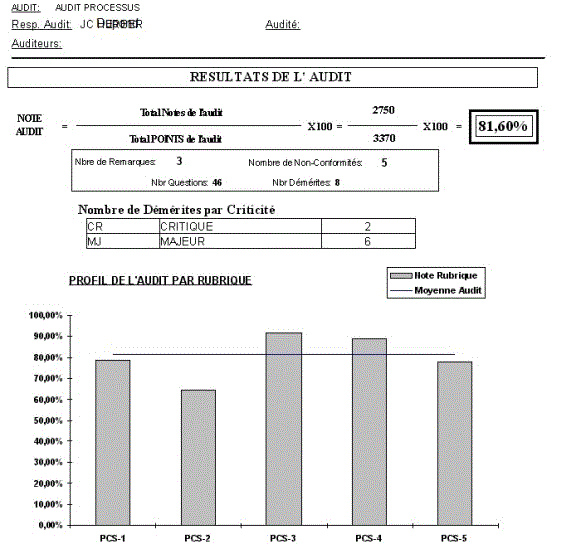 Rogaudit Rapport d'audit